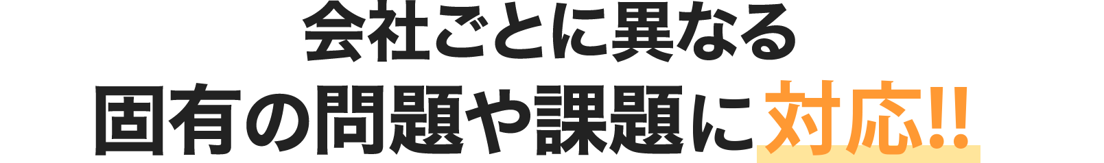 会社ごとに異なる固有の課題に対応